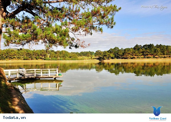 Đà Lạt Mờ Sương, Dịu Dàng Những Ngày Thu - Ảnh 1 Đà Lạt Mờ Sương, Dịu Dàng Những Ngày Thu - Ảnh 1