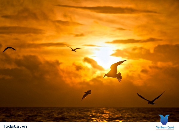 Đầm Nha Phu Nha Trang - Ảnh 6