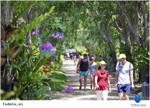 Đảo Hòn Hèo Nha Trang - Ảnh 3