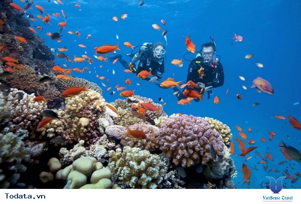 Đến Biển Nha Trang Chơi Những Trò Chơi Gì ? - Ảnh 1