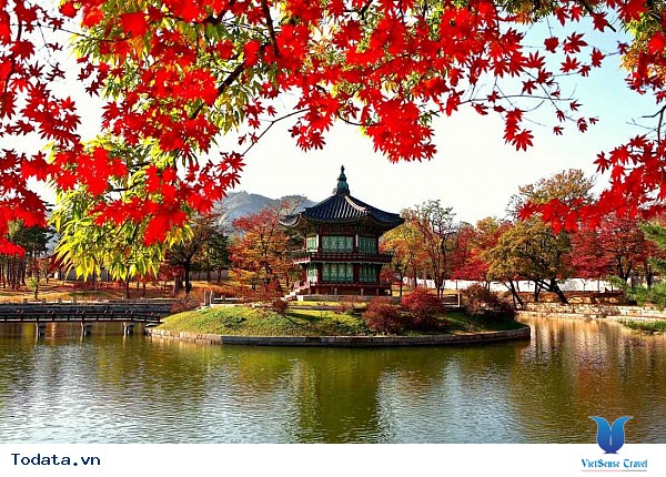 Đến Hàn Quốc – Đừng bỏ lỡ 3 địa điểm yên bình giữa lòng thành phố. - Ảnh 3 Đến Hàn Quốc – Đừng bỏ lỡ 3 địa điểm yên bình giữa lòng thành phố. - Ảnh 3