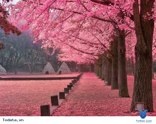 Đến Hàn Quốc – Đừng bỏ lỡ 3 địa điểm yên bình giữa lòng thành phố. - Ảnh 1 Đến Hàn Quốc – Đừng bỏ lỡ 3 địa điểm yên bình giữa lòng thành phố. - Ảnh 1