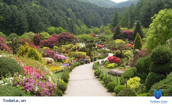 Đến Hàn Quốc – Đừng bỏ lỡ 3 địa điểm yên bình giữa lòng thành phố. - Ảnh 4 Đến Hàn Quốc – Đừng bỏ lỡ 3 địa điểm yên bình giữa lòng thành phố. - Ảnh 4