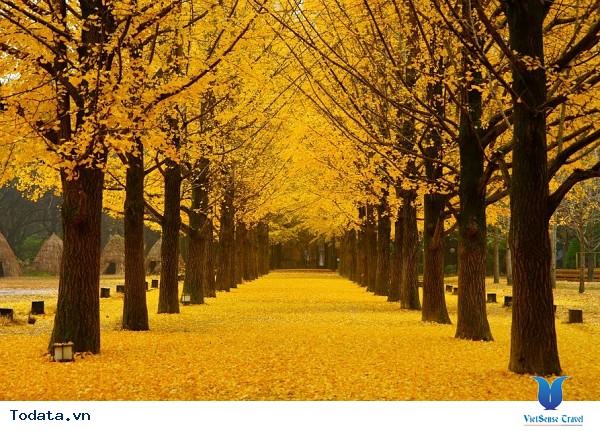 Đến Hàn Quốc – Đừng bỏ lỡ 3 địa điểm yên bình giữa lòng thành phố. - Ảnh 2 Đến Hàn Quốc – Đừng bỏ lỡ 3 địa điểm yên bình giữa lòng thành phố. - Ảnh 2