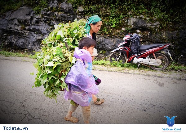 Du Khách Phương Nam Đam Mê Chinh Phục Cao Nguyên Đá Đồng Văn - Ảnh 18