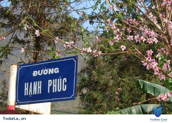 Du Lịch Hà Giang - 9 Trả Nghiệm Để Đời - Ảnh 8