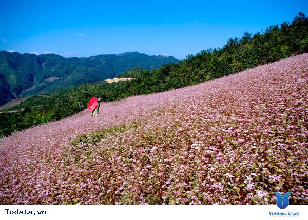 Du Lịch Hà Giang - 9 Trả Nghiệm Để Đời - Ảnh 4