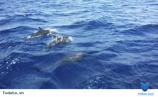 Đừng bỏ lỡ những kinh nghiệm này trước khi đi du lịch Maldives nhé - Ảnh 7 Đừng bỏ lỡ những kinh nghiệm này trước khi đi du lịch Maldives nhé - Ảnh 7