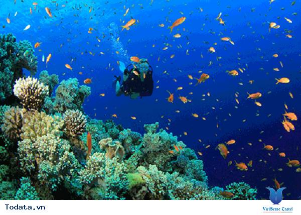 Đừng bỏ lỡ những kinh nghiệm này trước khi đi du lịch Maldives nhé - Ảnh 5 Đừng bỏ lỡ những kinh nghiệm này trước khi đi du lịch Maldives nhé - Ảnh 5