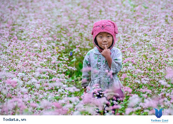 Gợi Ý Lịch Trình 3 Ngày Phượt Hà Giang - Ảnh 4