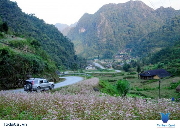 Hà Giang Dựng Khu Lều Bạt Phục Vụ Khách Du Lịch - Ảnh 3 Hà Giang Dựng Khu Lều Bạt Phục Vụ Khách Du Lịch - Ảnh 3