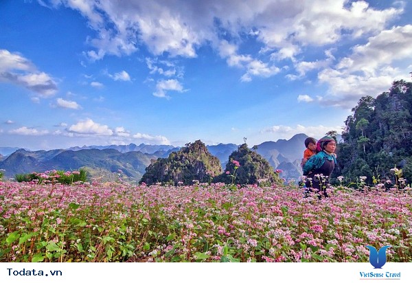 Hà Giang Mùa Nào Cũng Đẹp - Thời Điểm Nào Cũng Tuyệt ! - Ảnh 8
