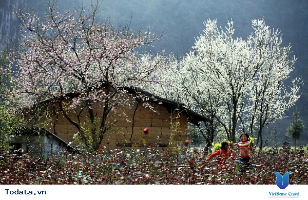 Hà Giang Mùa Nào Cũng Đẹp - Thời Điểm Nào Cũng Tuyệt ! - Ảnh 4
