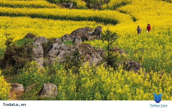 Hà Giang Mùa Nào Cũng Đẹp - Thời Điểm Nào Cũng Tuyệt ! - Ảnh 9