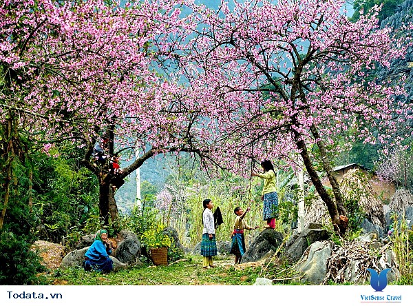 Hà Giang Mùa Nào Cũng Đẹp - Thời Điểm Nào Cũng Tuyệt ! - Ảnh 3