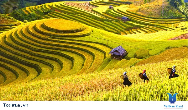 Hà Giang Mùa Nào Cũng Đẹp - Thời Điểm Nào Cũng Tuyệt ! - Ảnh 7