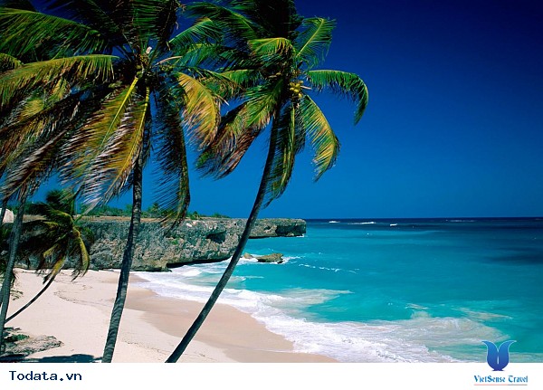 Khu Du Lịch Dốc Lết Nha Trang - Ảnh 5