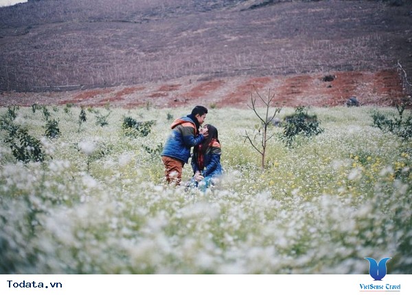 Mộc Châu - Điểm Đến Đáng Để Đi Nhất Vào Tháng 11 Này - Ảnh 14 Mộc Châu - Điểm Đến Đáng Để Đi Nhất Vào Tháng 11 Này - Ảnh 14
