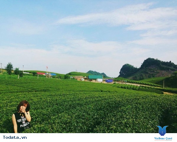 Mộc Châu - Điểm Đến Đáng Để Đi Nhất Vào Tháng 11 Này - Ảnh 24 Mộc Châu - Điểm Đến Đáng Để Đi Nhất Vào Tháng 11 Này - Ảnh 24