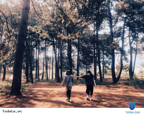 Mộc Châu - Điểm Đến Đáng Để Đi Nhất Vào Tháng 11 Này - Ảnh 22 Mộc Châu - Điểm Đến Đáng Để Đi Nhất Vào Tháng 11 Này - Ảnh 22