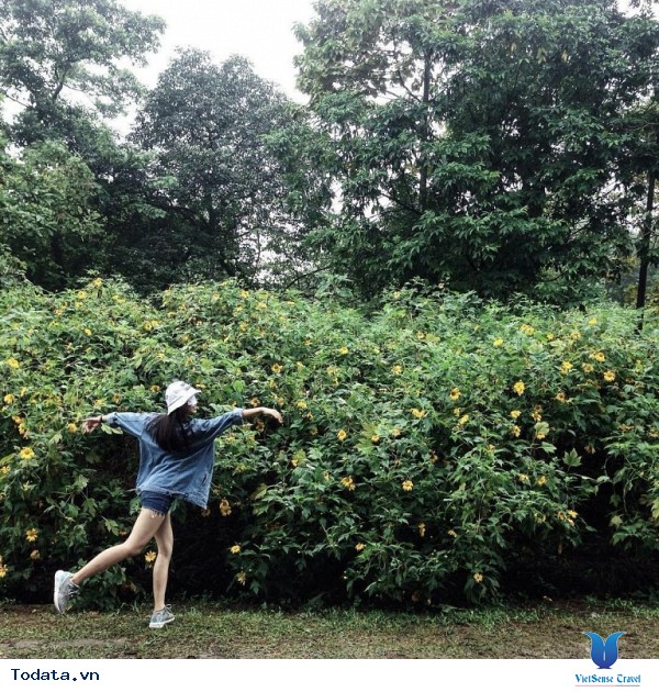 Mộc Châu - Điểm Đến Đáng Để Đi Nhất Vào Tháng 11 Này - Ảnh 4 Mộc Châu - Điểm Đến Đáng Để Đi Nhất Vào Tháng 11 Này - Ảnh 4