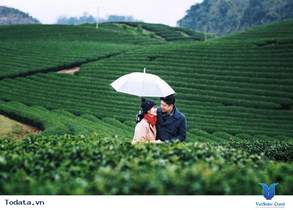 Mộc Châu - Điểm Đến Đáng Để Đi Nhất Vào Tháng 11 Này - Ảnh 25 Mộc Châu - Điểm Đến Đáng Để Đi Nhất Vào Tháng 11 Này - Ảnh 25