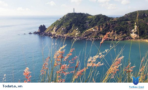 Mũi Điện Phú Yên - Nơi Đón Bình Minh Đầu Tiên Của Việt Nam - Ảnh 4