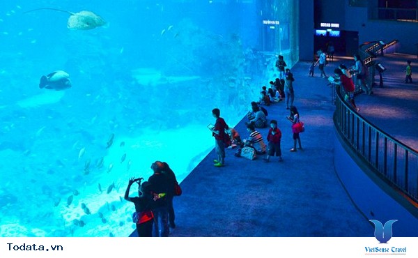 Những địa điểm mà bạn nhất định với tới khi đi du lịch Singapore - Ảnh 5 Những địa điểm mà bạn nhất định với tới khi đi du lịch Singapore - Ảnh 5