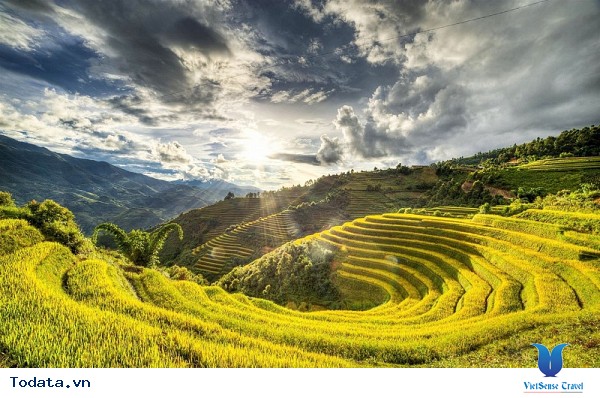 Những Địa Điểm Tuyệt Đẹp Săn Ảnh Mùa Lúa Vàng Tây Bắc - Ảnh 1