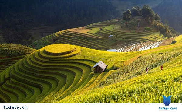 Những Trải Nghiệm Cỏ Thể Bạn Chưa Biết Trên Mù Cang Chải - Ảnh 1 Những Trải Nghiệm Cỏ Thể Bạn Chưa Biết Trên Mù Cang Chải - Ảnh 1