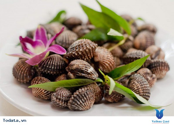 Sò Huyết Đầm Ô Loan Phú Yên - Ảnh 1