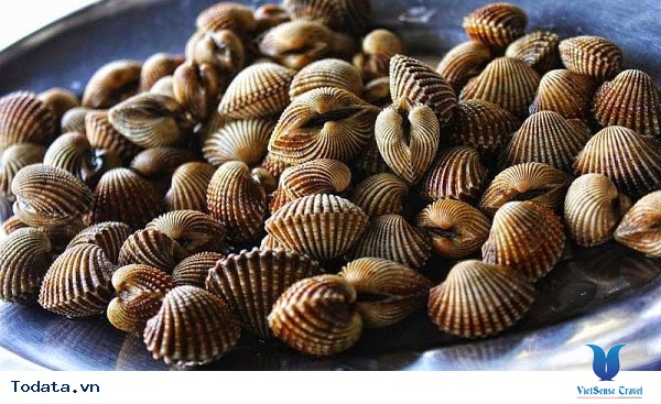 Sò Huyết Đầm Ô Loan Phú Yên - Ảnh 3