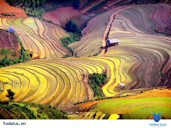 Tây Bắc Mùa Đổ Ải Đẹp Lung Linh Dưới Ánh Mặt Trời - Ảnh 5