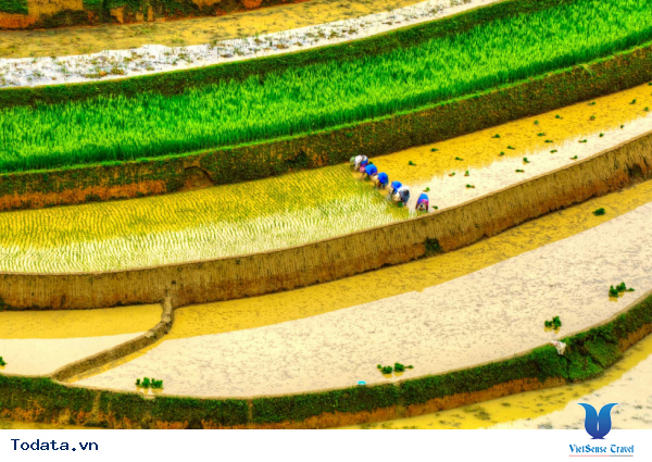 Tây Bắc Mùa Đổ Ải Đẹp Lung Linh Dưới Ánh Mặt Trời - Ảnh 6