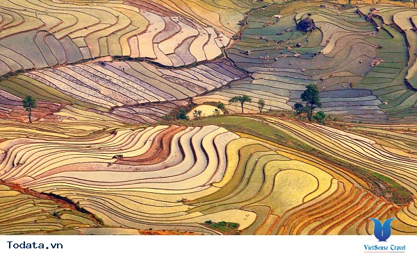 Tây Bắc Mùa Đổ Ải Đẹp Lung Linh Dưới Ánh Mặt Trời - Ảnh 1