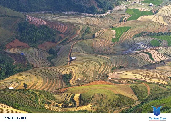 Tây Bắc Mùa Đổ Ải Đẹp Lung Linh Dưới Ánh Mặt Trời - Ảnh 2