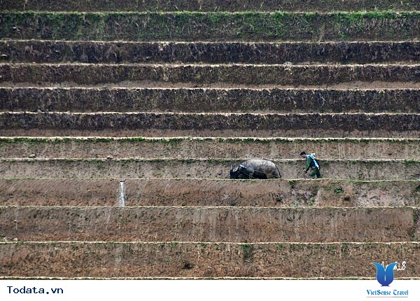 Tây Bắc Mùa Đổ Ải Đẹp Lung Linh Dưới Ánh Mặt Trời - Ảnh 4