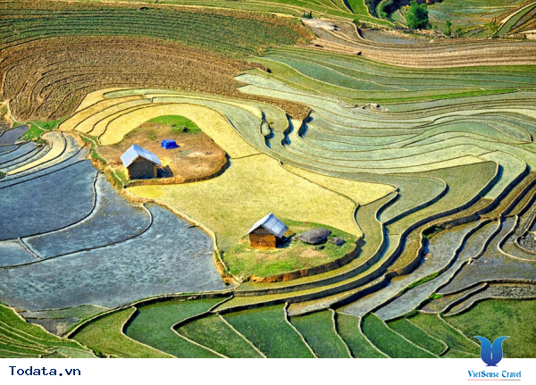 Tây Bắc Mùa Đổ Ải Đẹp Lung Linh Dưới Ánh Mặt Trời - Ảnh 13