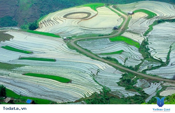Tây Bắc Mùa Đổ Ải Đẹp Lung Linh Dưới Ánh Mặt Trời - Ảnh 8