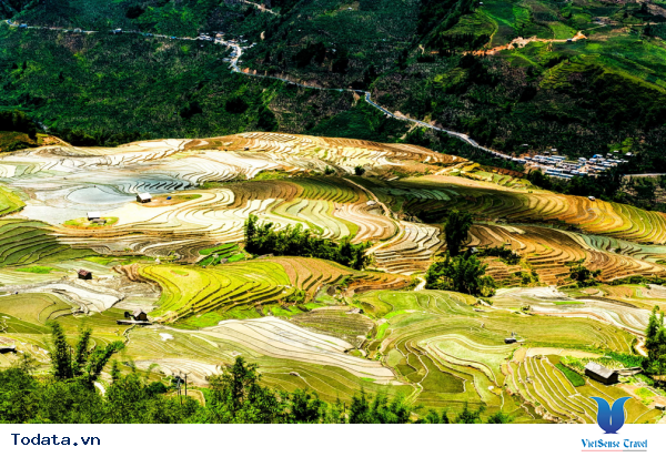 Tây Bắc Mùa Đổ Ải Đẹp Lung Linh Dưới Ánh Mặt Trời - Ảnh 10