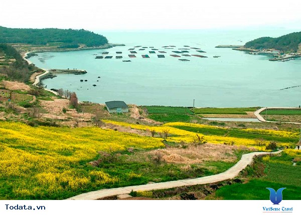 Thăm quan một nơi tuyệt vời tại Hàn Quốc - Ảnh 3