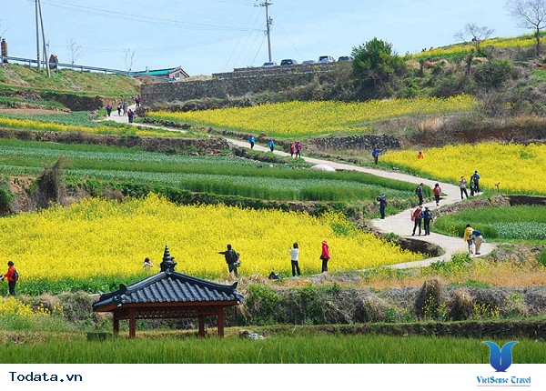 Thăm quan một nơi tuyệt vời tại Hàn Quốc - Ảnh 4