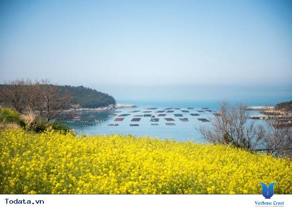 Thăm quan một nơi tuyệt vời tại Hàn Quốc - Ảnh 5