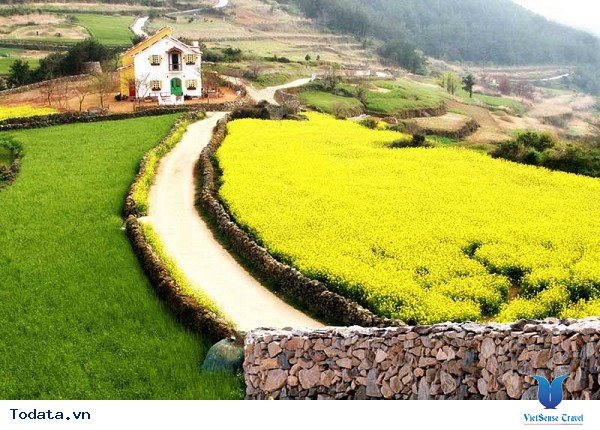 Thăm quan một nơi tuyệt vời tại Hàn Quốc - Ảnh 1