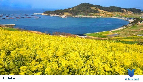 Thăm quan một nơi tuyệt vời tại Hàn Quốc - Ảnh 2