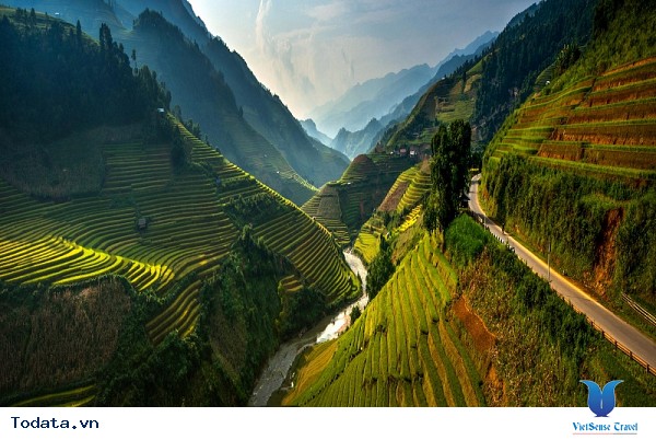 Vẻ Đẹp Cuốn Hút Mù Cang Chải Mùa Lúa Chín - Ảnh 3