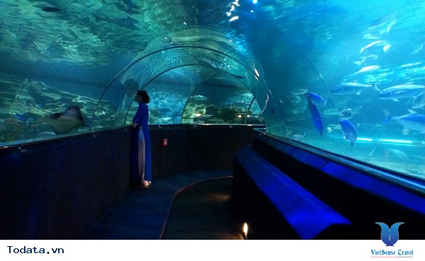 Viện Hải Dương Học Nha Trang - Ảnh 2