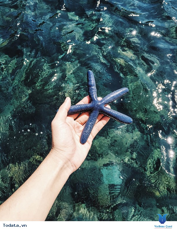 Vịnh Vĩnh Hy Nha Trang - Ảnh 9