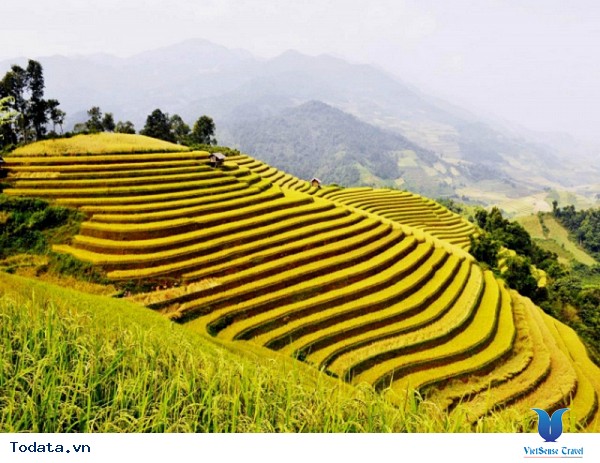 Vùng Núi Tây Bắc - Những Cung Đường Ngắm Mùa Lúa Vàng - Ảnh 2