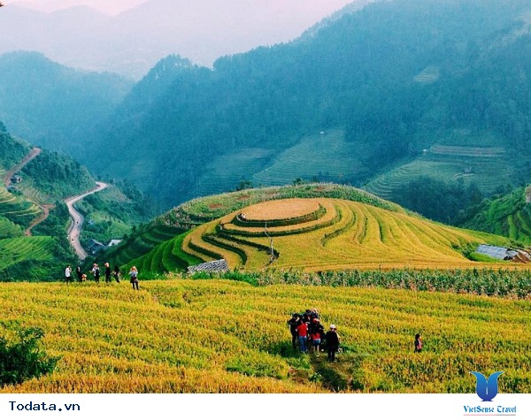 Vùng Núi Tây Bắc - Những Cung Đường Ngắm Mùa Lúa Vàng - Ảnh 3